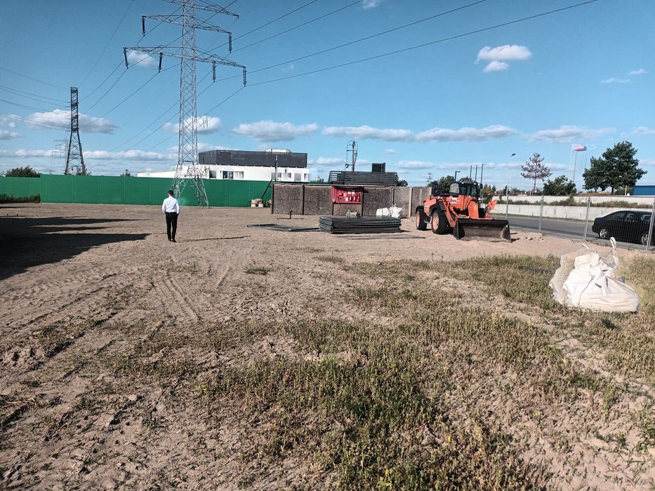 Wycinka drzew Pielęgnacja drzew i zieleni Usługi ogrodnicze