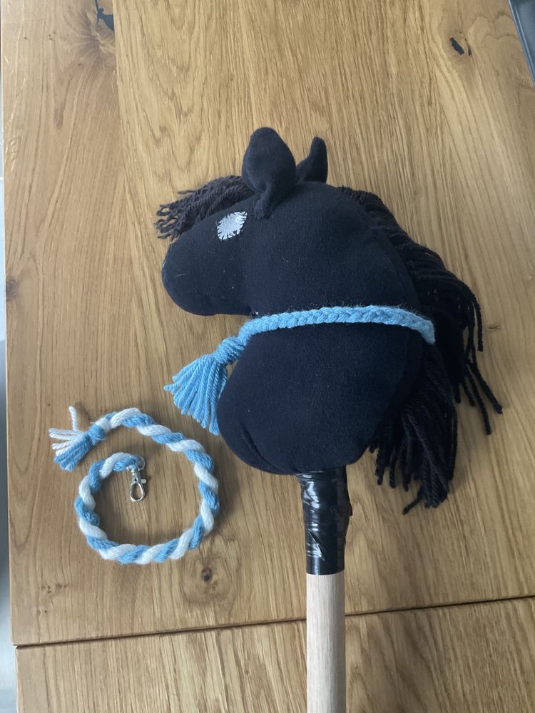 Hobby horse kary