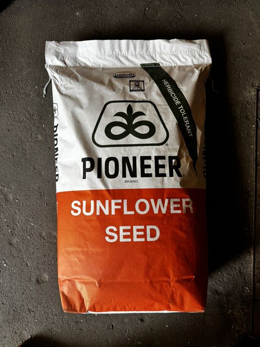 Продам насіння соняшнику Сінгента Сайберік та Піонер П64ЛЕ25