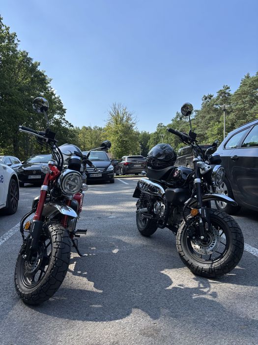 Wynajem motocykla Honda Monkey 125