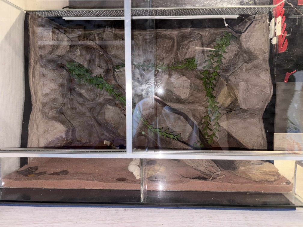 Terrarium dla gekona