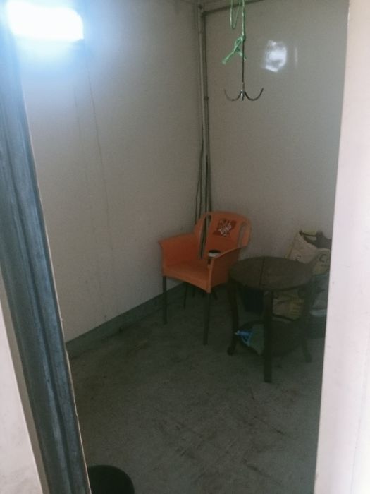 Camioneta carrinha para transporte de cavalos de desporto