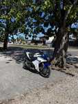 Honda CBR Honda CBR 600 FAC pc41