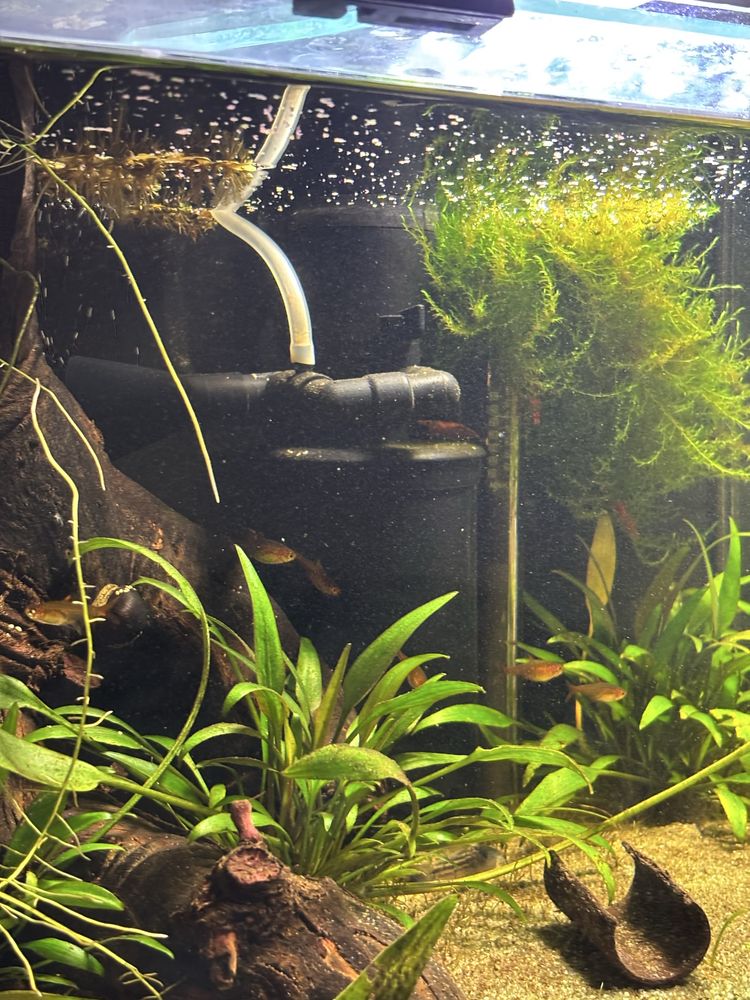 Akwarium 40L tylko całość
