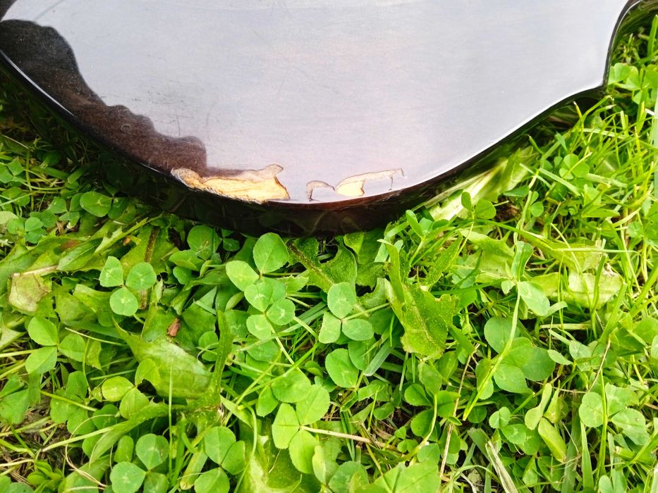 Єлектрогітара ltd f100 fm