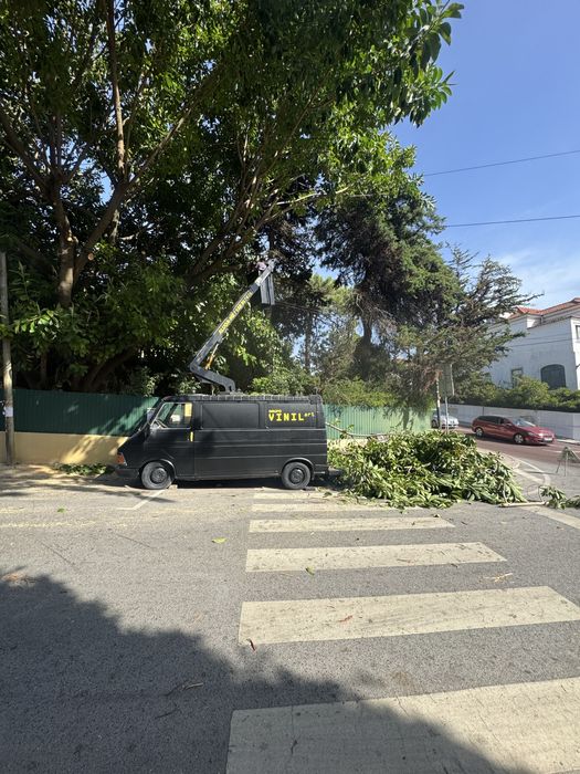 Plataforma elevatória ALUGUER