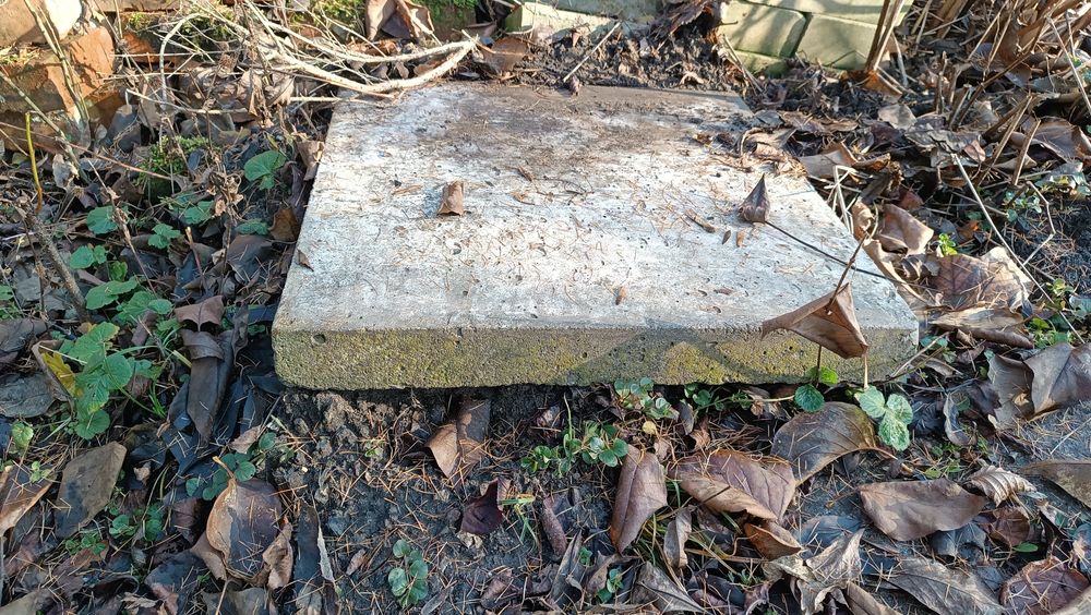 Płytki chodnikowe 50 × 50 cm