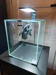Aquael zestaw Shrimp Set Day&Night / kostka 25x25x30, 20l