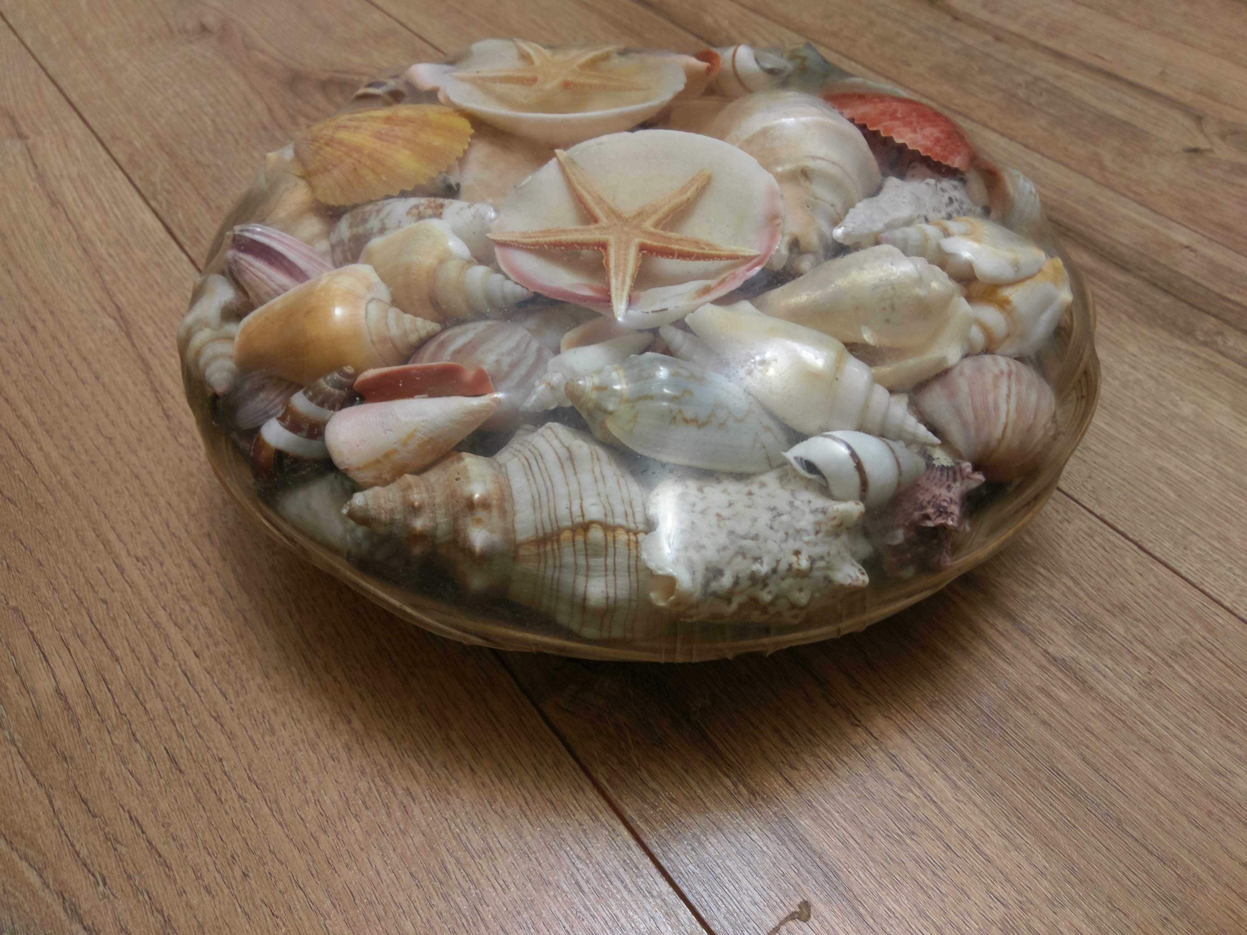 Muszle muszelki morskie dekoracja prezent akwarium