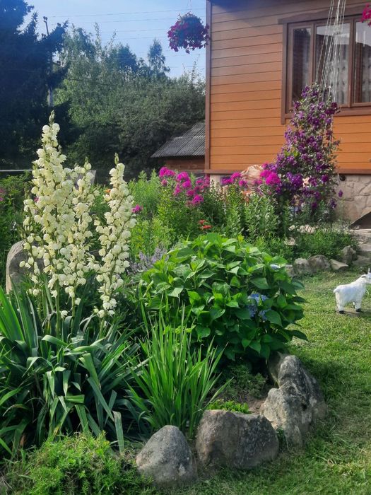 Відпочинок у Микуличині