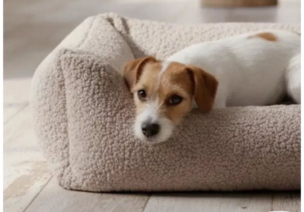 Лежанка лежак мʼякий  для собак кота Зоотовари мʼяке місце