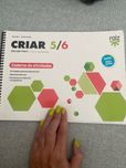 Caderno de Atividades Ed Visual 5 e 6 ano