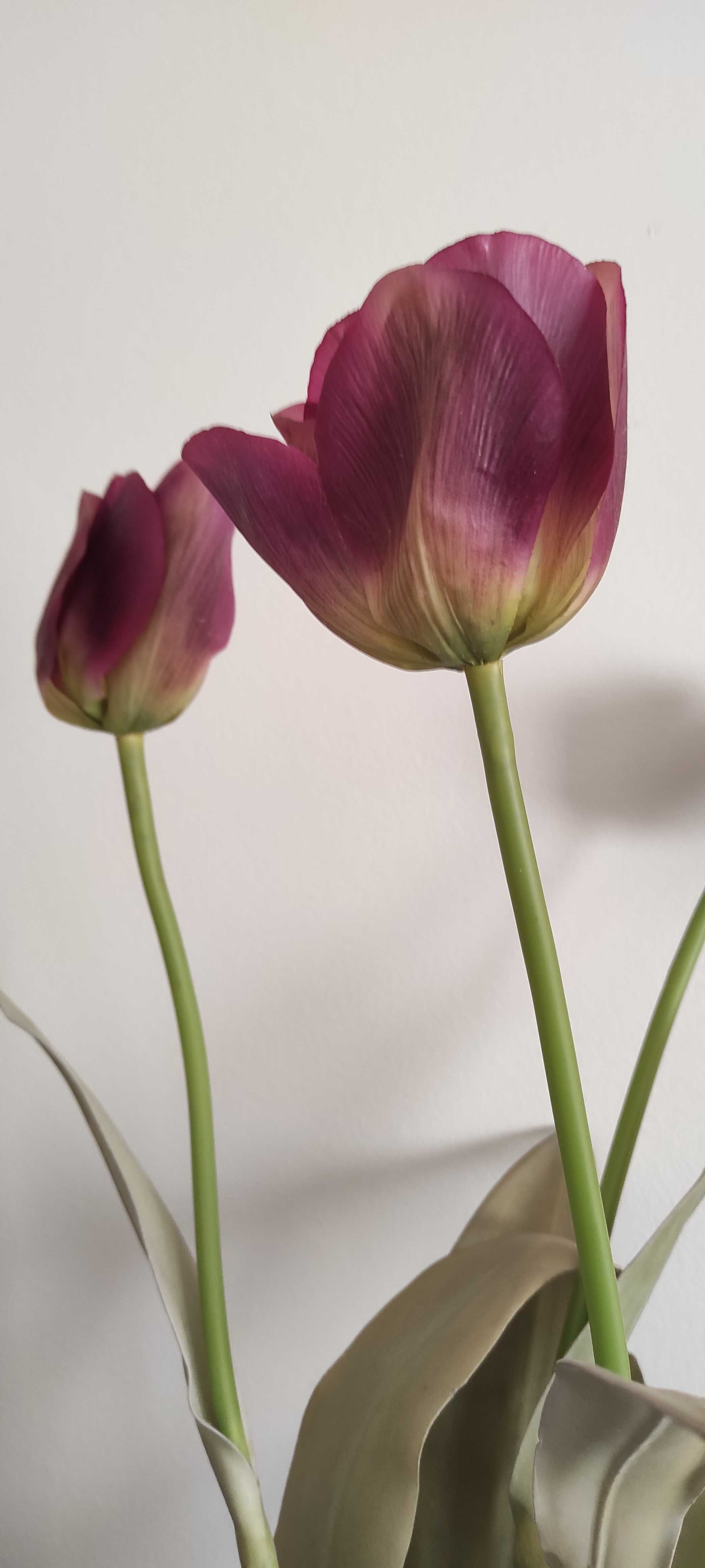 Conjunto de rosas e tulipas artificiais (como novas)