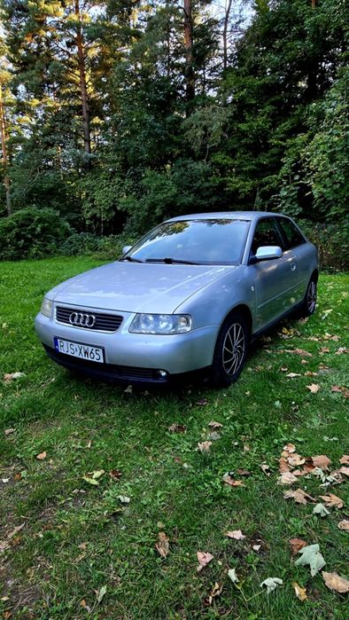 Audi A3 8L 1.6 Benzyna – świeżo po wymianie silnika, gotowe do jazdy