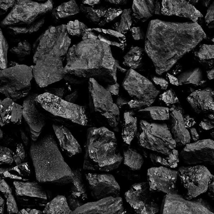 Купити деревне вугілля та брикети RUF, PINI KAY, NESTRO високої якості