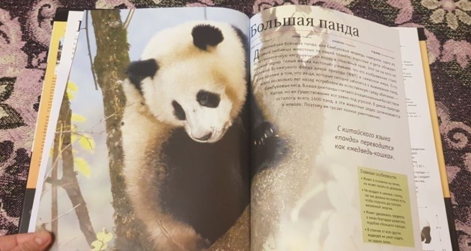 Книга Животные планеты энциклопедия