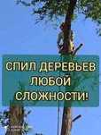 Спил и кронирование,обрезка дерева любой сложности Харьков и обл.