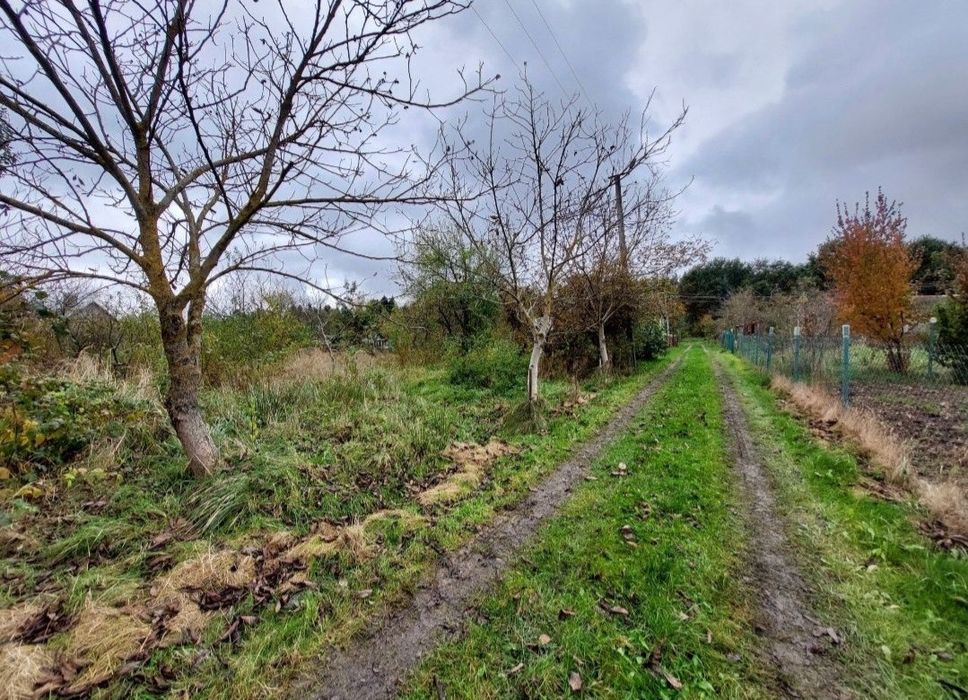 Продаж зем.-діл 4 сот. с. Дережичі дачн кооператив