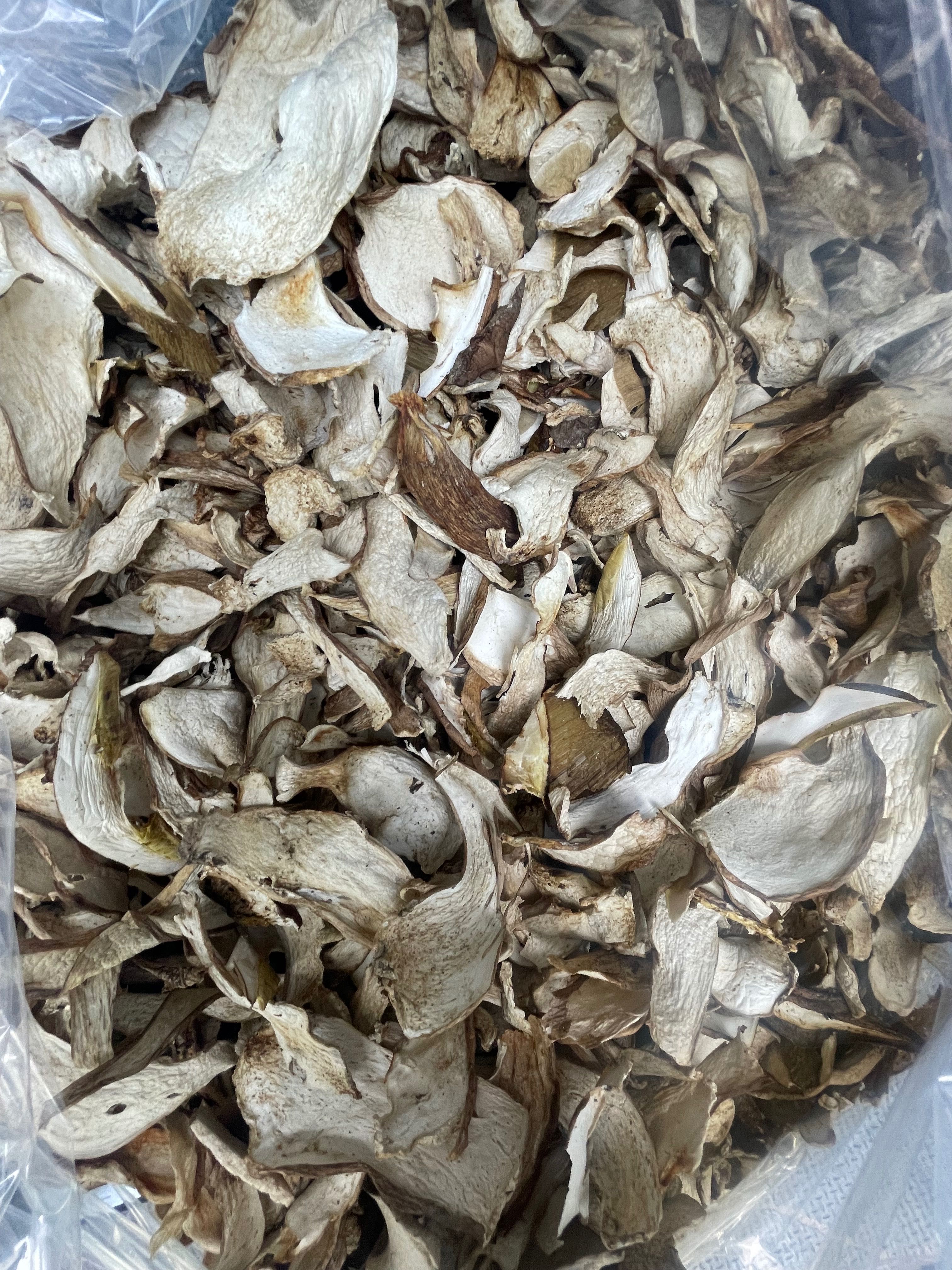 Продам білі гриби