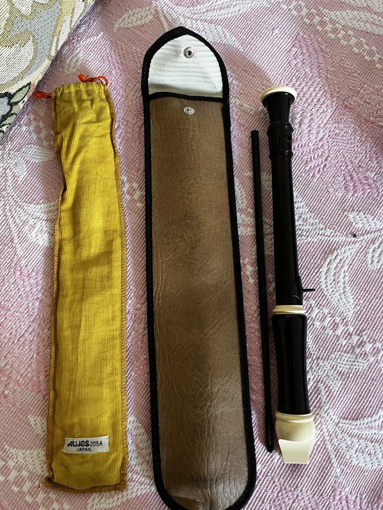Vendo! guitarra violao e flauta