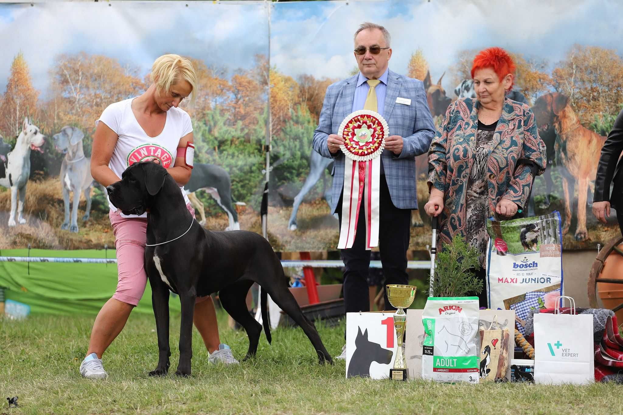 Dog Niemiecki rodowod FCI czarny chłopak