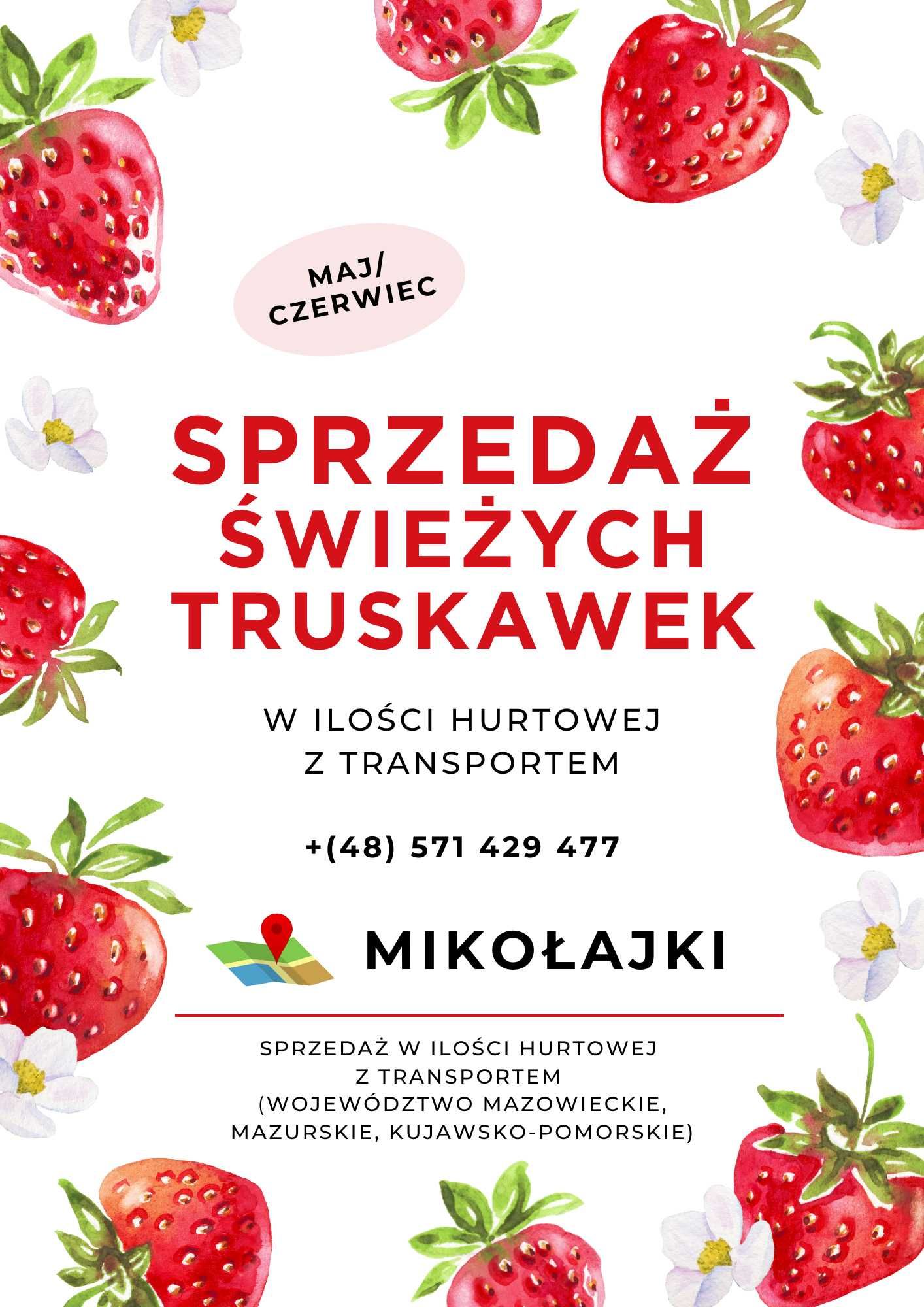 Świeże truskawki HURT