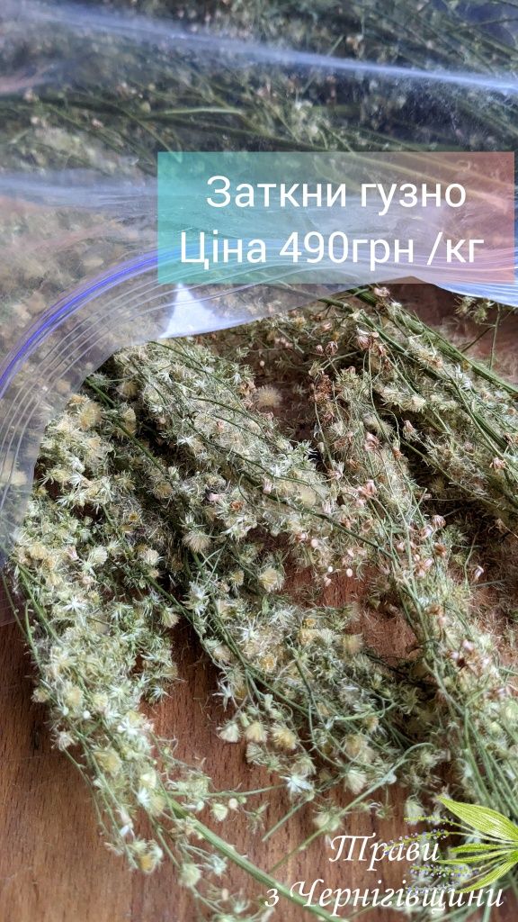 Корінь барбарису, оман, аїр , лепеха, девясил, кульбаба, цвіт бузиниз
