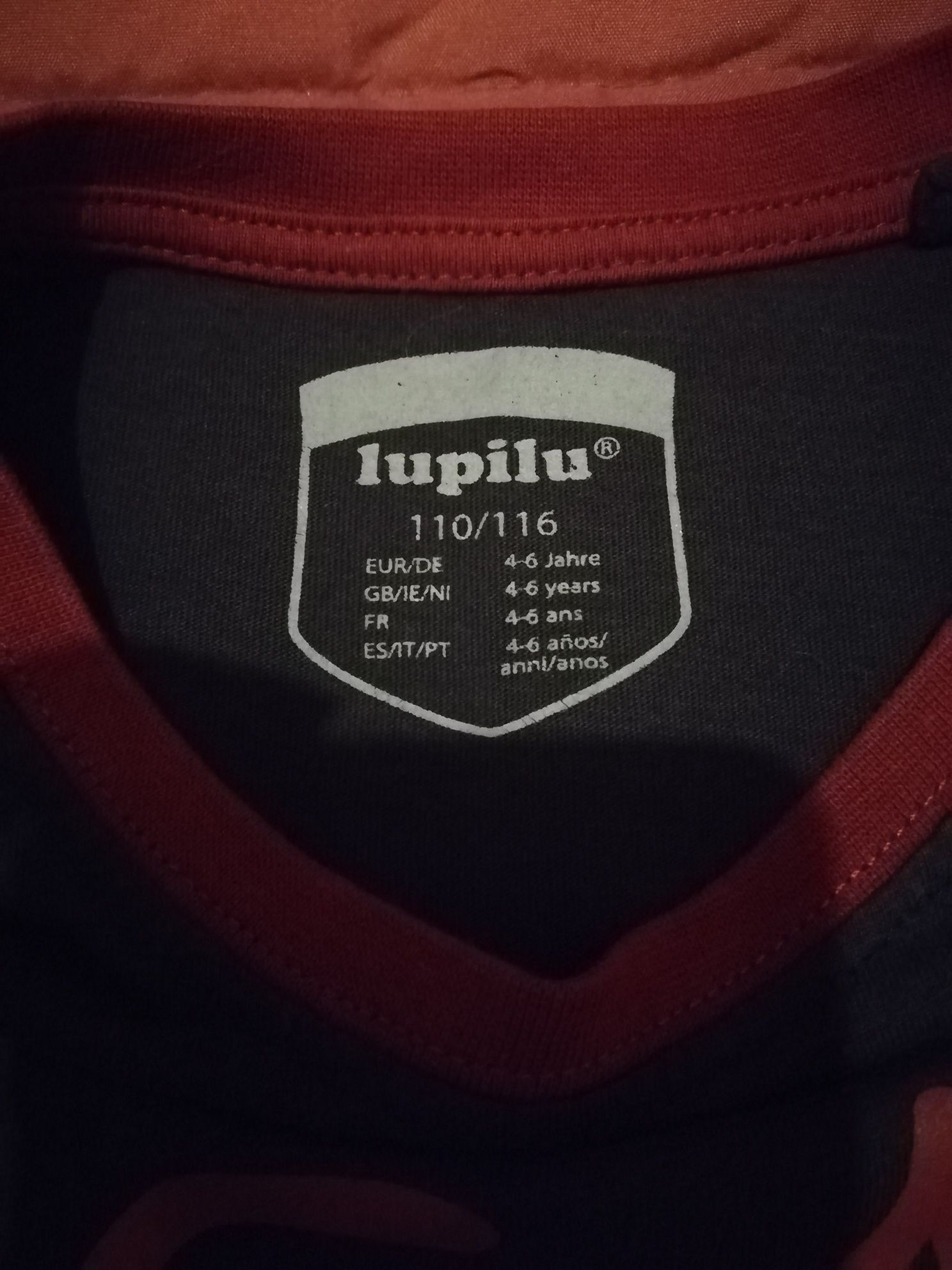 Pijama Lupilu 110 a 116 Cm (4 a 6 anos)