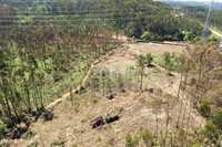 Terreno florestal com capacidade construtiva - Santa Maria da Feira