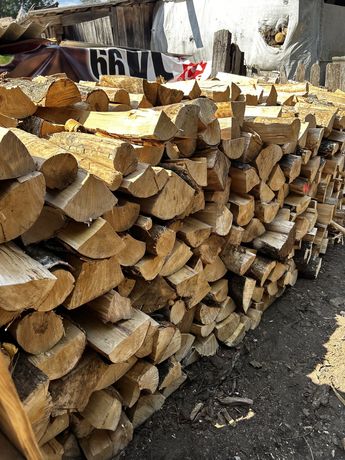 Drewno kominowe suche