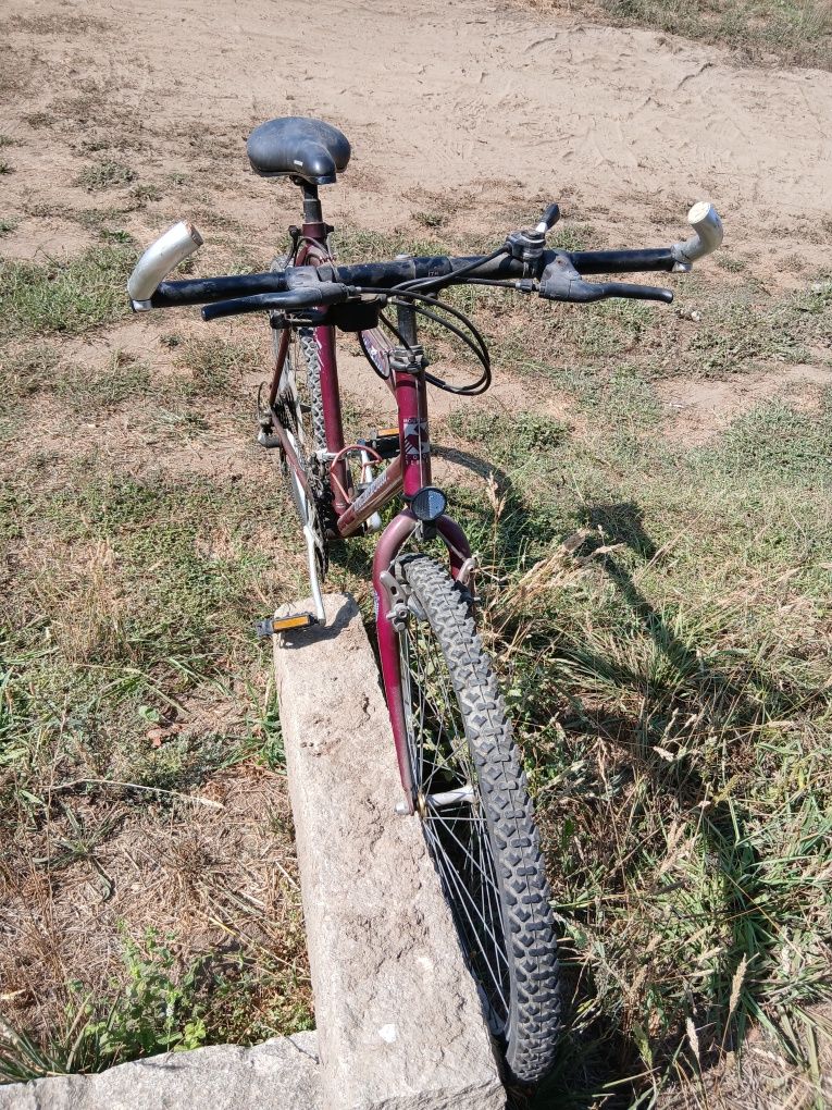 Bicicleta de adulto