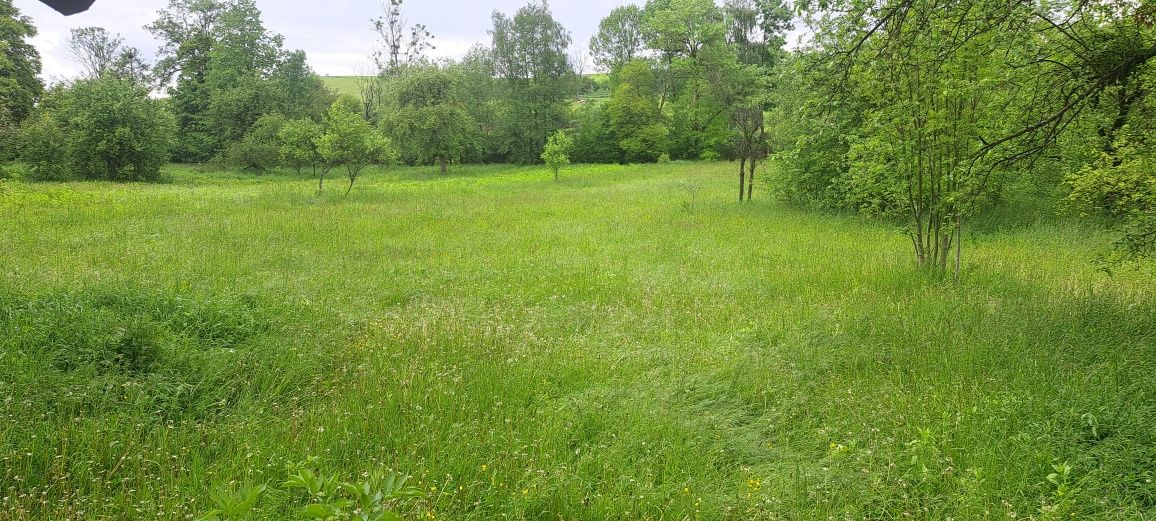 Будинок с.Дмитровичі +2,5га землі