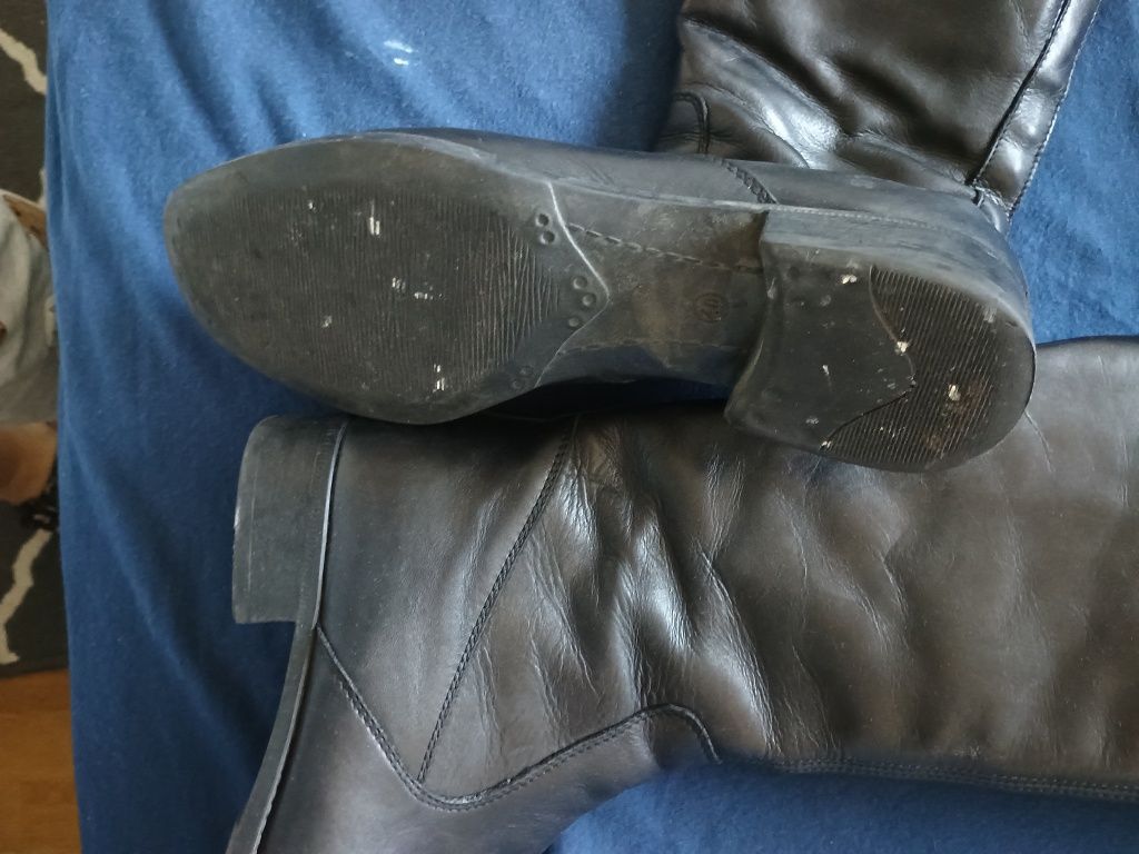 Kozaki Lasocki r.  40