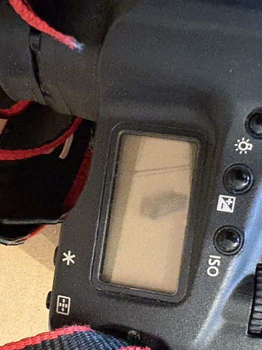 Canon 1d MARK III
