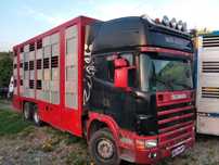 Scania R 420 Żywcówka Przewóz Zwierząt Waga Komputer Volvo FM380 05Rok