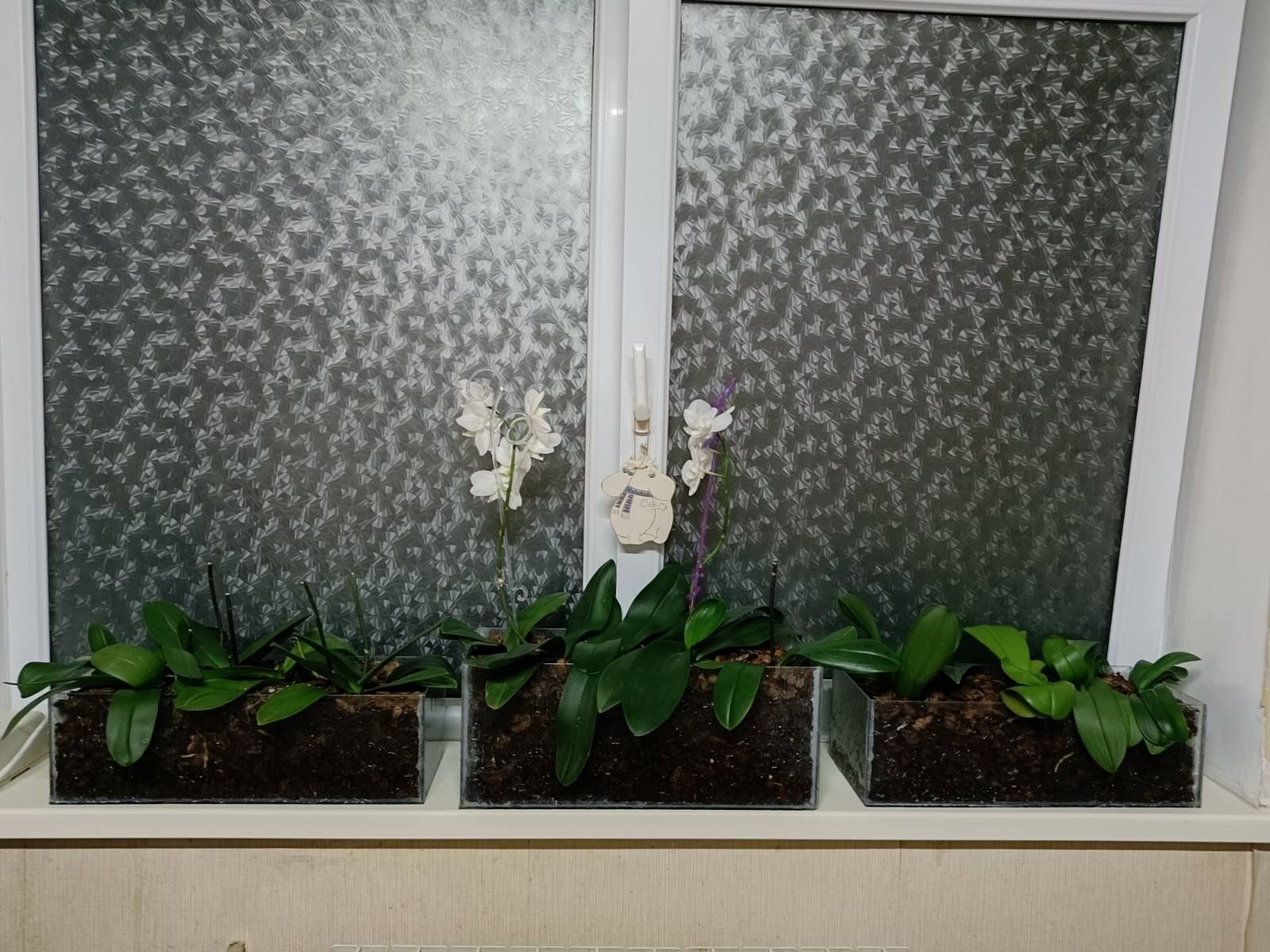 Продам вазоны для цветов.