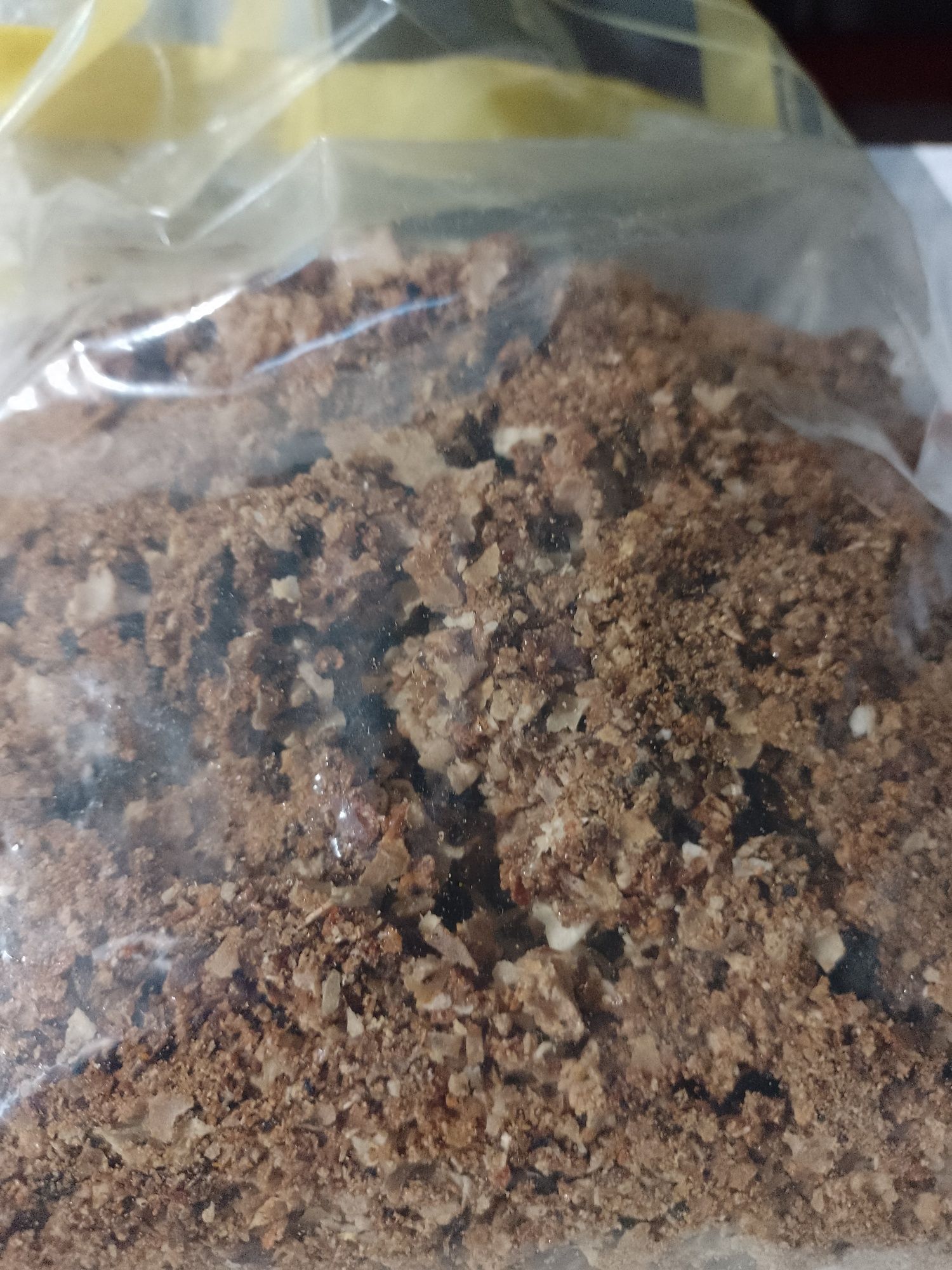 Sprzedam, kit pszczeli ( propolis) 100g.