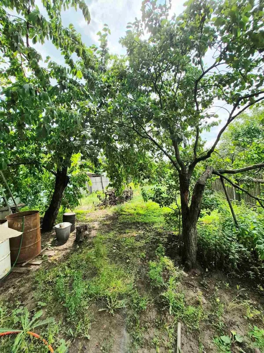 Продам будинок 81 м2 в центрі Кущівки.