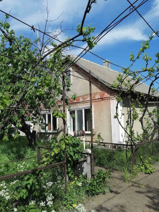 Продам дом с Выпасное