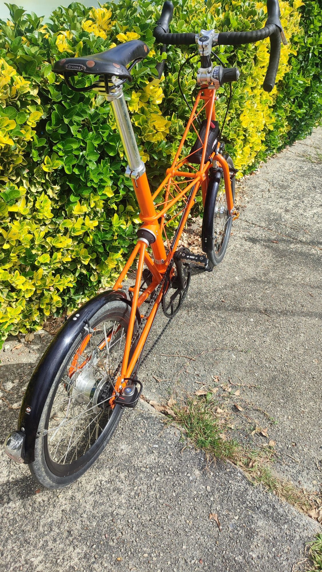 Moulton TSR 5 spaceframe