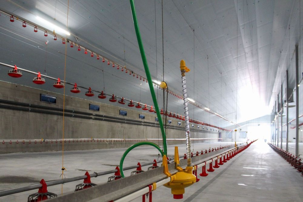 Styrodur XPS AGRO Termo Izolacja Ocieplenie Dachu Stropu Sufitu