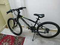 Rower rock rider
