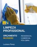 Limpeza profissional