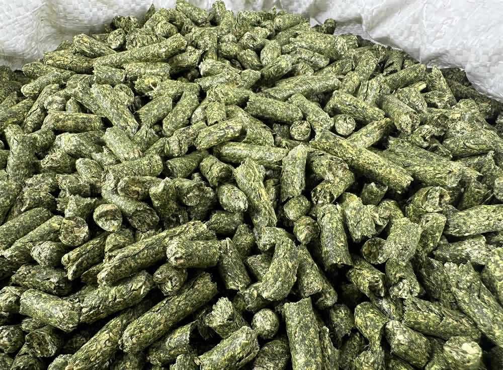 Lucerna Granulowana 10 KG dla Koni i Kuców Pellet Białko