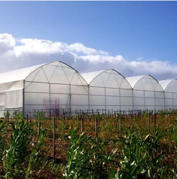 Плівка для теплиць Ginegar Sotrafa Тепличная пленка