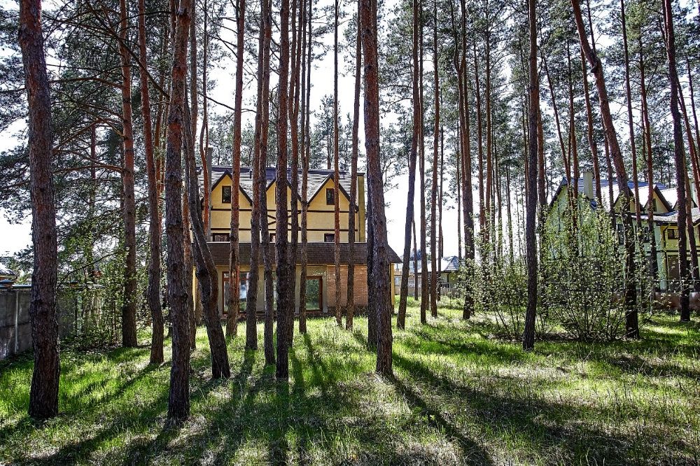 Продается дом в лесу