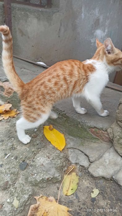 Срочно! Маленкое солнышко ищет любящую семью