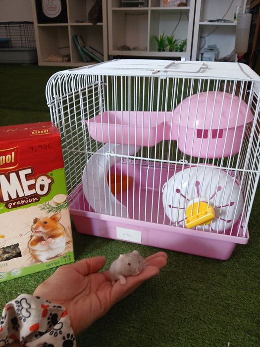 Gaiola hamster anão kit completo