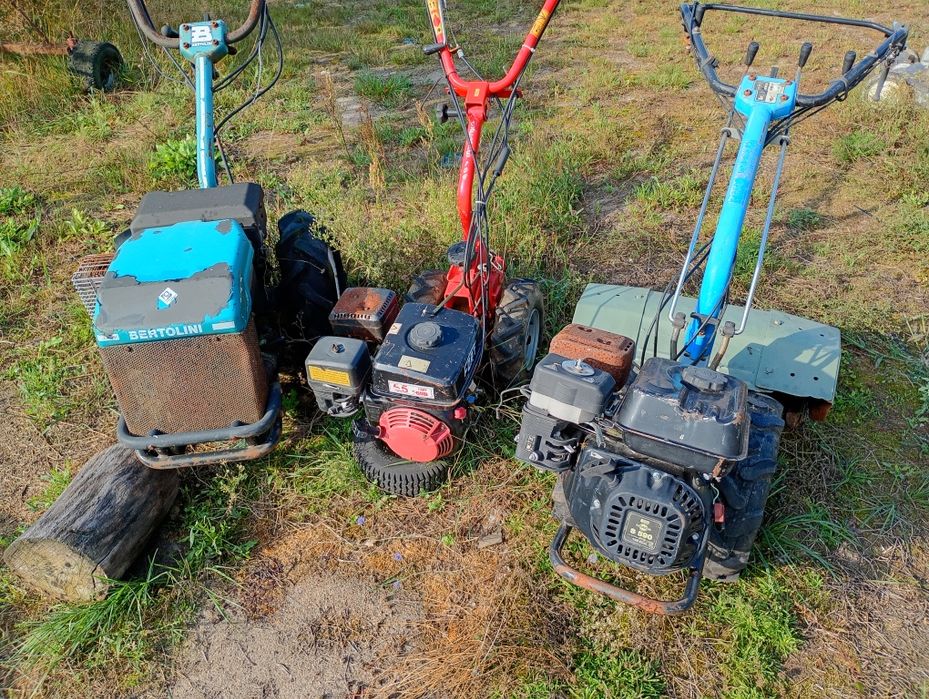 Dzik,ciągnik jednoosiowy