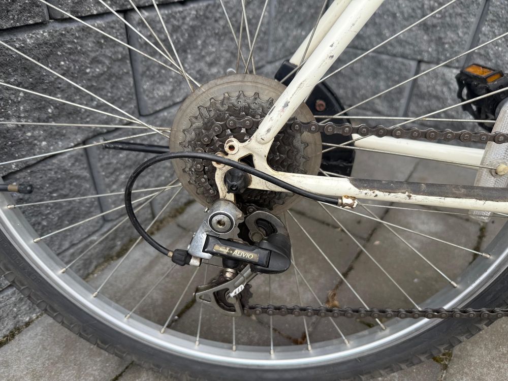 Rower damski trek 820